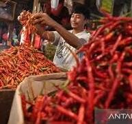 Harga Cabai Meroket 70 Ribu di Serang
