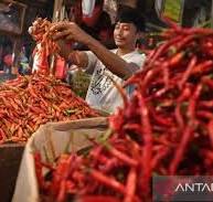 Harga Cabai Meroket 70 Ribu di Serang
